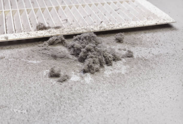 Best Air Duct Cleaning Near Me  in Osprey, FL