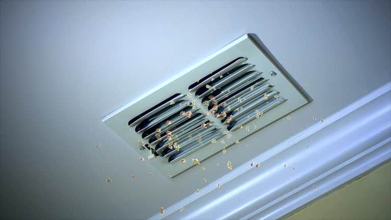 Trusted Osprey, FL Airduct Cleaning Experts