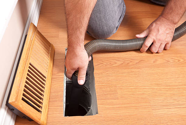 Best Air Duct Mold Removal  in Osprey, FL